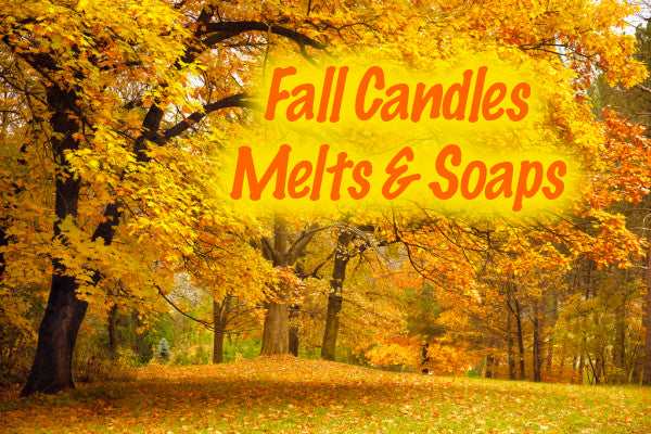 Fall Wax Melts Variety Pack - Pumpkin Souffle, Butter Pecan Pie