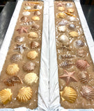 Sea Shells by the Sea Shore